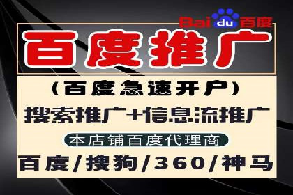 SEM服务公司助力企业增长案例